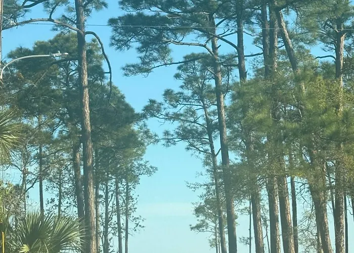Holiday home 7018 Rookery 3 New Listing 2 Pools 1 Min To Gulf Shores